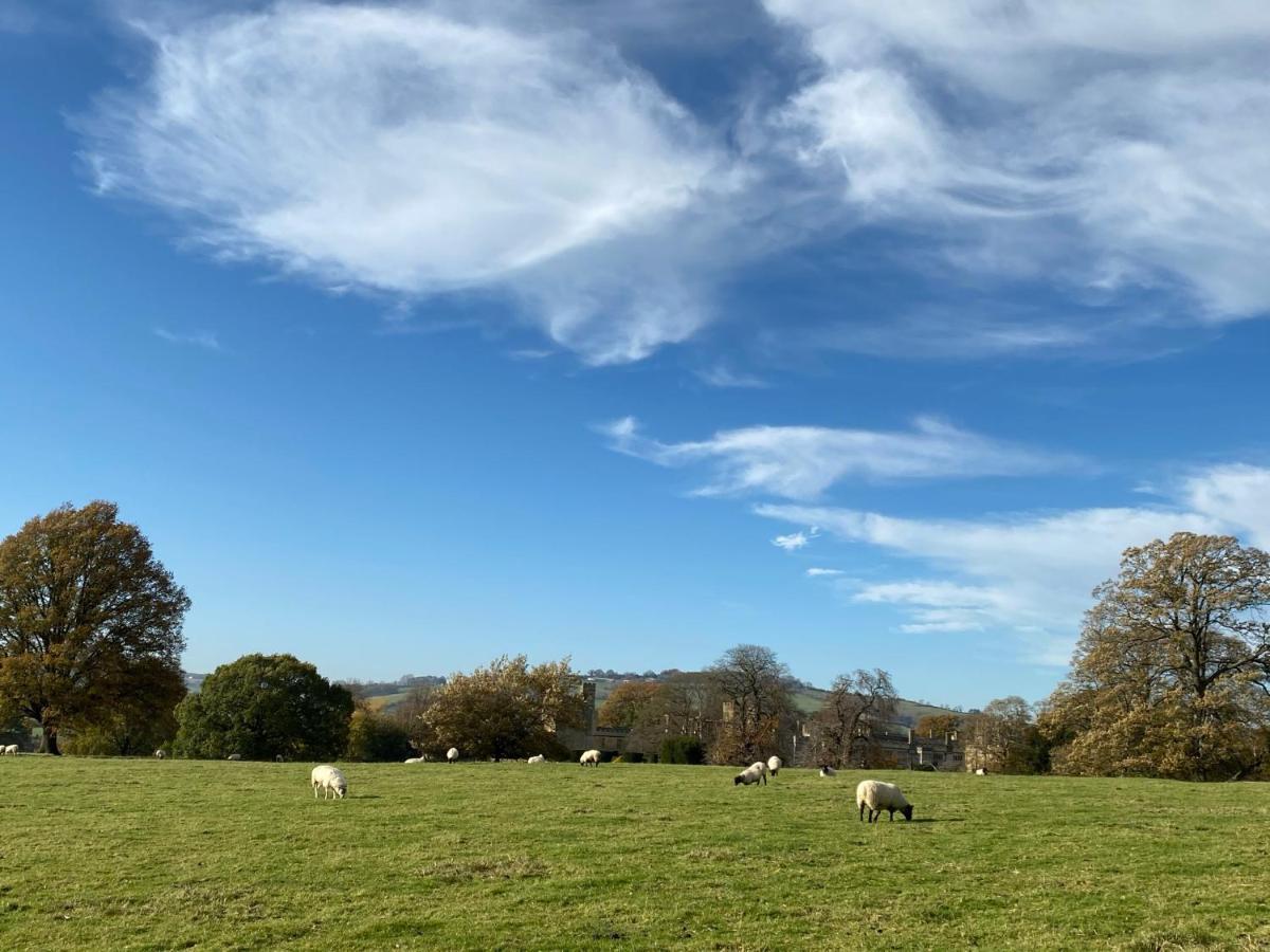 Zen Cottage, Cheltenham Уинчкомб Екстериор снимка